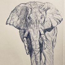 My project for course: Sketchbook Illustration with Pen: Embracing Mistakes. Esboçado, Desenho, Sketchbook e Ilustração com tinta projeto de olsen.bruce - 22.10.2022