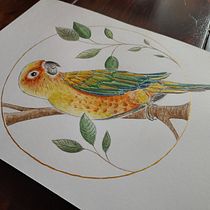 Mein Abschlussprojekt für den Kurs: Filigrane Aquarellmalerei mit Metallic-Akzenten. Traditional illustration, Painting, Watercolor Painting, Botanical Illustration, Naturalistic Illustration, and Decorative Painting project by la_chouette - 10.22.2022