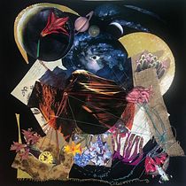 Mi proyecto del curso: Técnicas de bordado experimental sobre papel. Un progetto di Belle arti, Collage, Ricamo e Textile Design di Yani Ferreira - 23.10.2022