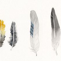 Il mio progetto del corso: Illustrazione naturalistica: acquerello in positivo e negativo. Traditional illustration, Fine Arts, Painting, Drawing, Watercolor Painting, Botanical Illustration, and Naturalistic Illustration project by Michela Pesci - 10.24.2022
