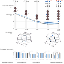 Mi proyecto del curso: Visualización de datos y diseño de la información: crea un modelo visual Ein Projekt aus dem Bereich Informationsdesign, Interaktives Design und Infografik von rosaliapaz - 25.10.2022
