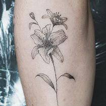 Mi proyecto del curso: Tatuaje fine line de Lirios. Traditional illustration, Drawing, and Tattoo Design project by Constanza Montt - 10.25.2022