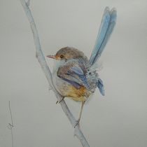 My project for course: Watercolor Wildlife in Positive and Negative. Un progetto di Illustrazione tradizionale, Belle arti, Pittura, Disegno, Pittura ad acquerello, Illustrazione botanica e Illustrazione naturalistica di anne.babington - 26.10.2022