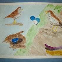 My project for course: Illustrating Nature: A Creative Exploration. Traditional illustration, Painting, Drawing, Watercolor Painting, Ink Illustration, and Naturalistic Illustration project by Gary Colles - 10.24.2022