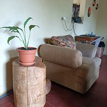 Mi proyecto del curso: Diseño de interiores con plantas desde cero. Interior Design, L, scape Architecture, Decoration, Interior Decoration, DIY, Floral, Plant Design, and Spatial Design project by Fernando Melgar - 10.26.2022