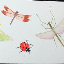 My project for course: Naturalist Journaling with Watercolor. Traditional illustration, Watercolor Painting, Botanical Illustration, Sketchbook, and Naturalistic Illustration project by Denise DESENEPART - 10.27.2022