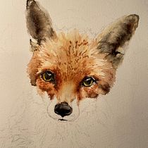 Mr Fox. Ilustração tradicional, Pintura em aquarela, Desenho realista e Ilustração naturalista projeto de Suzie Duncan - 29.10.2022