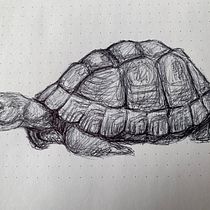 My project for course: Sketchbook Illustration with Pen: Embracing Mistakes. Esboçado, Desenho, e Sketchbook projeto de Cindy Duflot - 26.11.2022
