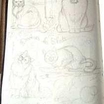 Mon projet du cours : Illustration d’animaux : représentez la faune sur un sketchbook. Traditional illustration, Collage, Sketchbook, and Naturalistic Illustration project by Anita Ede - 10.29.2022