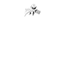 Mi proyecto del curso: Técnicas de tatuaje: sombreado con pepper shading. Ilustração tradicional, e Desenho de tatuagens projeto de margarciaalapont - 29.10.2022