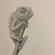 Chameleon pencil drawing. Traditional illustration, Pencil Drawing, Drawing, and Naturalistic Illustration project by aardkronkel - 10.29.2022