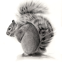 Mi proyecto del curso: Dibujo artístico para principiantes. Pencil Drawing, Drawing, Realistic Drawing, Artistic Drawing, Naturalistic Illustration, and Fine Arts project by Begoña Blázquez Parro - 10.29.2022