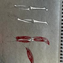 My project for course: Anatomical Drawing of Limbs, Hands and Feet. Un projet de Beaux Arts, Esquisse , Dessin au cra, on, Dessin, Dessin de portrait, Dessin réaliste, Dessin artistique, Carnet de croquis, Dessin anatomique et Illustration à l'encre de Katie Briggs - 31.10.2022