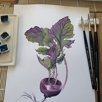 Mi proyecto del curso: Acuarela botánica: ilustra el arte y la ciencia. Un progetto di Illustrazione tradizionale, Belle arti, Pittura, Disegno, Pittura ad acquerello e Illustrazione botanica di Carmen Flores - 01.11.2022