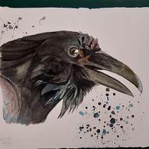 Mi proyecto del curso: Retratos expresivos de animales en acuarela. Ilustração tradicional, Pintura em aquarela, Desenho realista e Ilustração naturalista projeto de caranza1975 - 02.11.2022