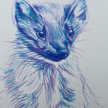 My project for course: Illustrating Nature: A Creative Exploration. Traditional illustration, Painting, Drawing, Watercolor Painting, Ink Illustration, and Naturalistic Illustration project by Louise Young - 11.02.2022