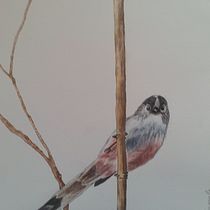 Il mio progetto del corso: Illustrazione naturalistica: acquerello in positivo e negativo. Traditional illustration, Fine Arts, Painting, Drawing, Watercolor Painting, Botanical Illustration, and Naturalistic Illustration project by tavazzani_manuela - 11.02.2022