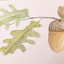 Mon projet du cours : Carnet de croquis botanique : une approche méditative. Ilustração tradicional, Esboçado, Desenho, Pintura em aquarela, Ilustração botânica, e Sketchbook projeto de Virginie Ayroles - 01.11.2022