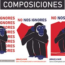  Bases del diseño gráfico para ilustradores (Oso Polar, Línce Ibérico, Chimpancé Común). Ilustração tradicional, Design gráfico e Ilustração digital projeto de Lara Marugán - 03.11.2022