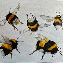 My project for course: Illustrating the Natural World with Watercolor and Charcoal Ein Projekt aus dem Bereich Traditionelle Illustration, Malerei und Naturalistische Illustration von Catalina Ionescu - 03.11.2022