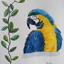 My project for course: Artistic Watercolor Techniques for Illustrating Birds. Traditional illustration, Watercolor Painting, Realistic Drawing, and Naturalistic Illustration project by Camila Moreira - 11.03.2022