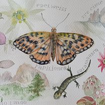 Meu projeto do curso: Diário de Insetos — Itália. Traditional illustration, Watercolor Painting, Botanical Illustration, Sketchbook, and Naturalistic Illustration project by Andrea Tostes - 11.03.2022