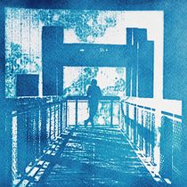 Mon projet du cours : Cyanotype : technique d'impression à la lumière. Un projet de Artisanat, Beaux Arts, Estampe, DIY , et Photographie argentique de esmiol.francoise - 04.11.2022