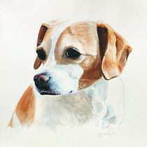 Mijn project van de cursus: Experimentele aquareltechnieken voor beginners Ein Projekt aus dem Bereich Traditionelle Illustration, Bildende Künste, Aquarellmalerei und Naturalistische Illustration von Rinie van der Leer - 04.11.2022