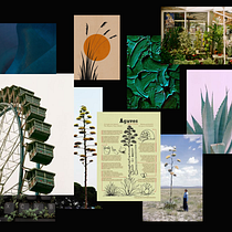 A l · C a b o . Un progetto di Design, Br, ing, Br, identit, Graphic design, Tipografia, Design di loghi, Design tipografico, Costume design e Illustrazione digitale di Florinda Pérez González - 05.11.2022