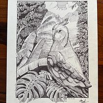 Mi proyecto del curso: Ilustración con tinta y plumilla: captura el mundo natural Ein Projekt aus dem Bereich Skizzenentwurf, Zeichnung, Artistische Zeichnung, Sketchbook, Illustration mit Tinte und Naturalistische Illustration von lionelvivas - 05.11.2022