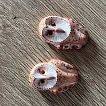 Mi proyecto del curso: Creación de joyería con arcilla polimérica. Design de acessórios, Design de joias, e Cerâmica projeto de dniel1222 - 06.11.2022