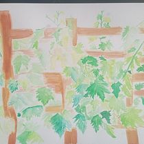 Mi proyecto del curso: Naturaleza ilustrada: una exploración creativa. Traditional illustration, Painting, Drawing, Watercolor Painting, Ink Illustration, and Naturalistic Illustration project by valentineskyler - 11.06.2022