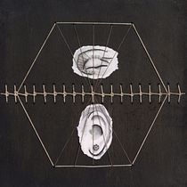 Mi proyecto del curso: Técnicas de bordado experimental sobre papel. Un progetto di Belle arti, Collage, Ricamo e Textile Design di Elena Rodríguez Fajardo - 07.11.2022