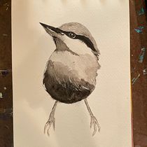 Tonal bird, Artistic Watercolor Techniques for Illustrating Birds. Traditional illustration, Realistic Drawing, and Naturalistic Illustration project by Elizabeth Lankford - 11.08.2022