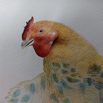 Mi proyecto del curso: Técnicas experimentales de acuarela para principiantes Ein Projekt aus dem Bereich Traditionelle Illustration, Bildende Künste, Aquarellmalerei und Naturalistische Illustration von Natalie López Valencia - 01.11.2022