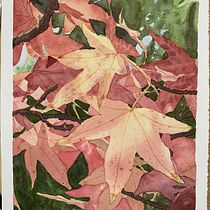 My project for course: Illustrating the Natural World with Watercolor and Charcoal Ein Projekt aus dem Bereich Traditionelle Illustration, Malerei und Naturalistische Illustration von Cindy Faulkner - 08.11.2022
