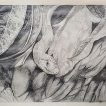 Mi proyecto del curso: De principiante a superdibujante. Un progetto di Design, Illustrazione tradizionale, Disegno a matita e Disegno di Edison Hurtado Morales - 08.11.2022