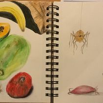 Mein Abschlussprojekt für den Kurs: Illustrationstechniken zum Lösen kreativer Blockaden. Design, Traditional illustration, Fine Arts, Painting, Creativit, Creating with Kids, and Sketchbook project by nicole_paletti - 11.10.2022