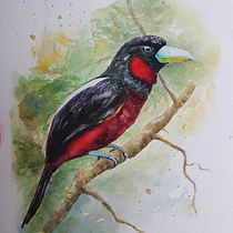My project for course: Artistic Watercolor Techniques for Illustrating Birds. Traditional illustration, Watercolor Painting, Realistic Drawing, and Naturalistic Illustration project by lucey.porch - 11.07.2022