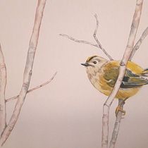 Mi proyecto del curso: Acuarela de naturaleza: ilustra en negativo y positivo. Traditional illustration, Drawing, Watercolor Painting, Botanical Illustration, and Naturalistic Illustration project by beatrizasinl - 11.10.2022