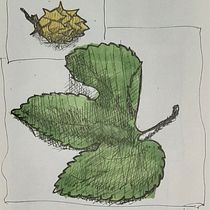 My project for course: Sketchbooking for Beginners: Learn to Draw Your Surroundings. Traditional illustration, Sketching, Creativit, Drawing, and Sketchbook project by Arnaud De - 11.10.2022