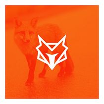 Fox Racing: Logo Design - From Concept to Presentation. Design, Br, ing, Identit, Graphic Design, and Logo Design project by Martin Roberts - 11.11.2022