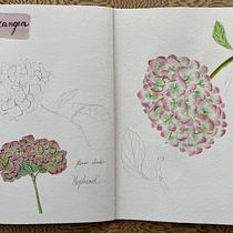 My project for course: Botanical Watercolor Sketchbook. Projekt z dziedziny Trad, c, jna ilustracja, Malowanie akwarelą, R, sunek botaniczn i Sketchbook użytkownika Lana - 12.11.2022