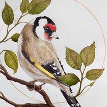 Mein Abschlussprojekt für den Kurs: Filigrane Aquarellmalerei mit Metallic-Akzenten. Ilustração tradicional, Pintura, Pintura em aquarela, Ilustração botânica, Ilustração naturalista, e Pintura decorativa projeto de Gabi Hörsting - 12.11.2022