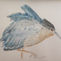 Martinete . Traditional illustration, Watercolor Painting, and Naturalistic Illustration project by serdna1989 - 11.12.2022