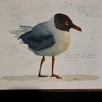 Mon projet du cours : Aquarelles naturalistes expressives avec du caractère. Traditional illustration, Watercolor Painting, and Naturalistic Illustration project by vero_herion - 11.13.2022