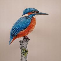 Mein Abschlussprojekt für den Kurs: Illustriere Vögel mit expressiven Aquarelltechniken. Traditional illustration, Watercolor Painting, Realistic Drawing, and Naturalistic Illustration project by nadine.b.herrmann - 11.12.1994