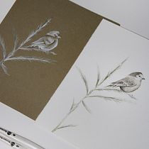 Il mio progetto del corso: Illustrazione naturalistica: acquerello in positivo e negativo. Fine Arts, Painting, Drawing, Botanical Illustration, Naturalistic Illustration, Traditional illustration, and Watercolor Painting project by Agata Di Gregorio - 11.14.2022