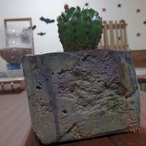 Meu projeto do curso: Criação de móveis com concreto para principiantes. Een project van Craft, Meubelontwerp en -bouw, Interieurontwerp,  Interieur y DIY van Carmem Lucas Vieira - 14.11.2022