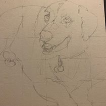 My project for course: Expressive Animal Portraits in Watercolor  "Jake". Ilustração tradicional, Pintura em aquarela, Desenho realista e Ilustração naturalista projeto de Michele Bennett - 14.11.2022